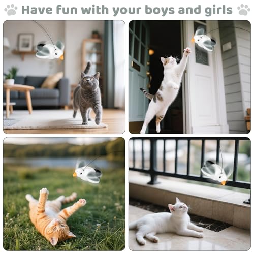 Cat Toys Flapping Birds with Catnip Bags, Chirping Interactive Kitten Toy Indoor, Lifelike Birdie Tweets, Rechargeable Enrichment Moving Wings Cat Exercise Toys Kicker for All Breeds Cat Dog(Oriole) - color: A4