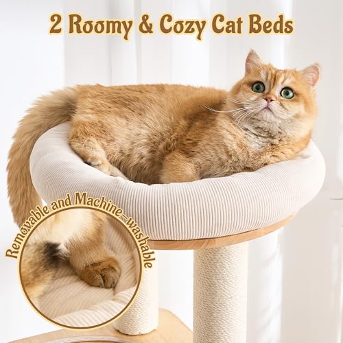 Modern Solid Wood Cat Tree for Indoor Cats Up to 15lbs, 60" Tall & Wide Cat Tower with Scratching Posts, Scratcher & Self-Grooming, Large Cat Beds, Capsule Nest, Multi-Level Cat Furniture - color: 60"Natural