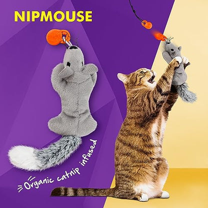 Cat Amazing Snatch Pack - 5 Magnetic Attachments for The Snatch Magnetic Wand Toy - Catnip Mouse, Rattle Snake, Crinkle Fish, Scrunchy Ball and Feather - Cat Teaser Toys - Really Catch! - style: Snatch Pack - 5 Attachments