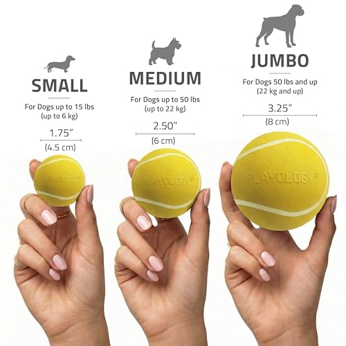 Playology Dog Toys | Squeaky Chew Ball - Bouncy Durable Floating Fetch Ball for Dogs | Jumbo Chicken Scented Toy - Easy to Clean and Made from Non Toxic Materials - size: Jumbo, style: Chicken