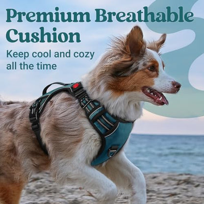 rabbitgoo Dog Harness for Large Dogs, No Pull Pet Harness with Soft Padded Handle, Adjustable Reflective Vest with 3 Buckles, Easy Walking Harness with 2 Leash Clips, Green, L - color: Green, size: Large