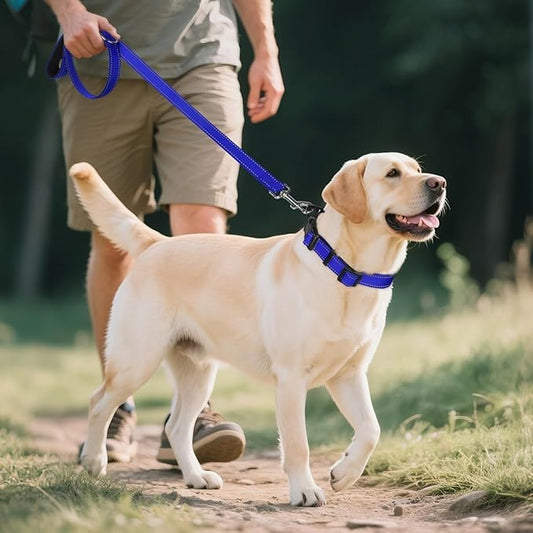 Reflective Dog Collar,Soft Neoprene Padded Breathable Nylon Pet Collar Adjustable for Large Dogs,Dark Blue, L - color: Dark Blue