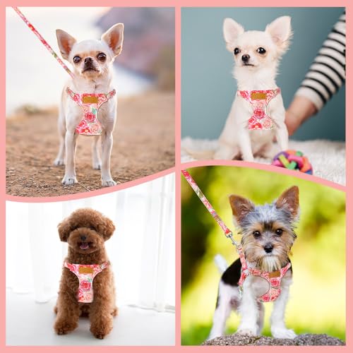 Lukovee Puppy Harness and Leash Set, No Pull Lightweight Soft Suede Adjustable Pet Harness Vest with Snap Buckle for Puppy Small and Medium Size Dog (Pink Rose, S) - color: Pink Rose, size: Small ( 9-17.5lb )
