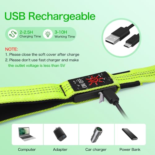Weesiber Glowing Light Up LED Dog Leash - 4ft USB Rechargeable Flashing Nylon Leash for Small Medium Large Dogs, 3 Flash Modes (Green) - color: Green