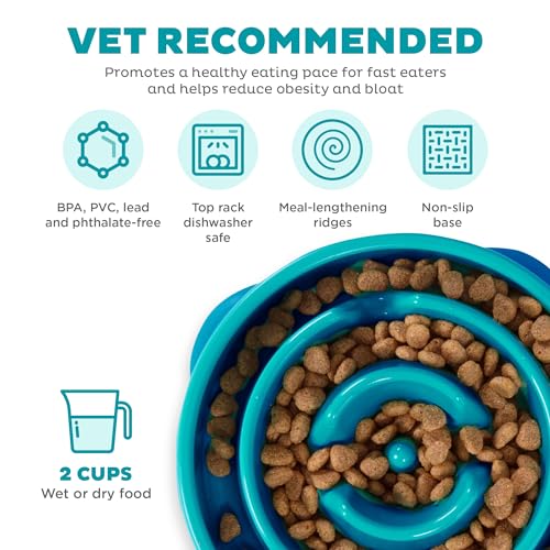 Outward Hound Fun Feeder Dog Bowls, Slow Feeders for Dogs, Medium/Mini, Turquoise and Orange