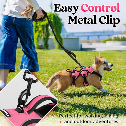 rabbitgoo Escape Proof Dog Harness, Soft Padded Full Body Pet Harness, Reflective Adjustable No Pull Vest with Lift Handle and Leash Clip for Large Dogs Walking Hiking Training, S, Pink - color: Pink, size: Small (Pack of 1)