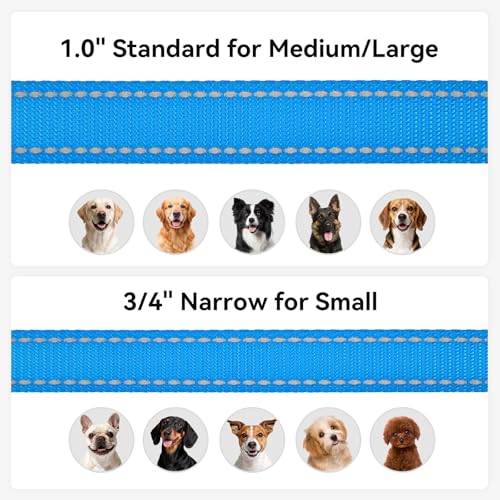 Joytale Dog Leash, 4 FT Double-Sided Reflective, Padded Handle Nylon Heavy Duty Leashes for Small Dogs Walking, SkyBlue - color: SkyBlue, size: 4 ft Narrow