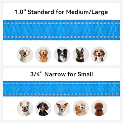 Joytale Dog Leash, 4 FT Double-Sided Reflective, Padded Handle Nylon Heavy Duty Leashes for Small Dogs Walking, SkyBlue - color: SkyBlue, size: 4 ft Narrow
