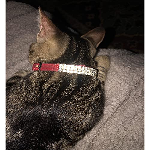 CHUKCHI Soft Velvet Safe Cat Adjustable Collar Bling Diamante with Bells,11 inch for Small Dogs and Cats (Red) - color: Red