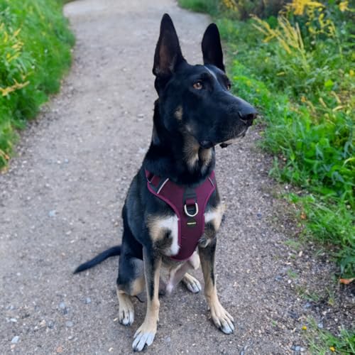No Pull Dog Harness - Durable Polyester Puppy Harness with Front Anti-Pull Loop, Reflective Strips, and Quick-Release Clips for Small, Medium, and Large Dogs (Berry Purple, Small) - color: Berry Purple, size: Small