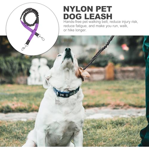 DOITOOL Hands Free Dog Running Leash Waist Belt Nylon Rope Leash for Medium Dogs Jogging Training with Safety Reflective Purple