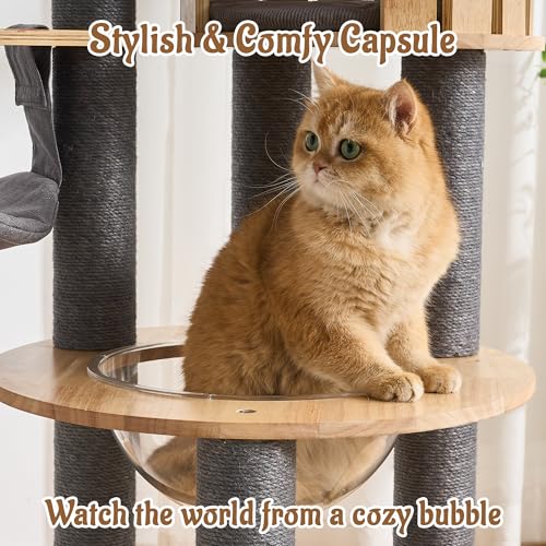 Modern Cat Tree Tower with Scratching Post, 61.5in Tall Cat Tree for Indoor Cats, Multi-Level Solid Wood Cat Furniture with Cozy Cat Beds, Cat Condo, Hammock, Capsule Nest, Turntable Toy, Gray - color: 61.5"-V-Gray