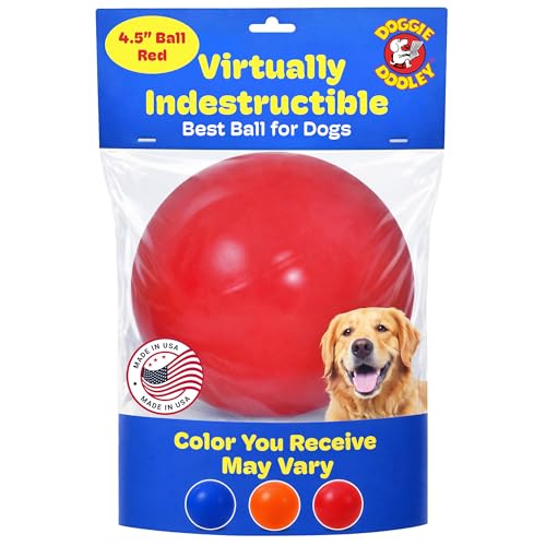 Doggie Dooley Virtually Indestructible Dog Ball - 4.5 Inch Hard Plastic Interactive Dog Toy for Large Breeds Over 1-30 lbs -Built for Herding & Push Play -Floats in Water, Made in USA -Colors May Vary - color: Assorted, size: Small (4.5 inch) (Pack of 1)