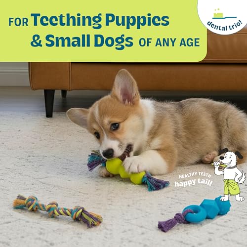Mini Dentachew Pack Dental Chew Toy, Multi-Textured, Fetch & Tug Rope, Puppies & Small Dogs, 7", 3-Pack - color: Dentachew 3 Pk