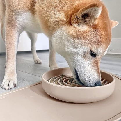 Should We Go? Slow Feeder for Dogs & Cats, The Slowdown Bowl Silicone Slow Eating, Modern Lick Mat Design, Reduces Gulping, Fits 2 Cups, 7.5” Across x 1.5” Tall, Mealtime Challenge, Medium-Sand - color: Sand - Rainbow Design, size: Medium (7.5” Across x 1