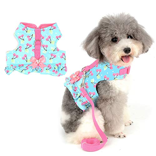 Zunea No Pull Small Dog Girl Harness Dress Escape Proof Cat Kitten Vest Harness Leash Set Step-in Soft Cotton Padded Cherry Printed Jacket Chihuahua Puppy Clothes with Bow for Walking Blue S - color: blue cherry, size: S (Chest:14.5-15.7", Neck:9-9.8")
