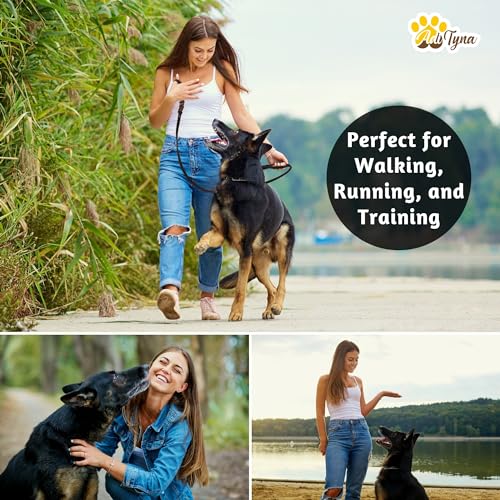 ADITYNA - Double Handle Leather Dog Leash 6ft - Heavy Duty Braided Dog Leash with Traffic Handle - Lead for Training and Walking Medium Large Breeds (Black, Two Handles 6 Foot x 5/8") - color: Black, size: Two Handles 6 foot x 5/8"
