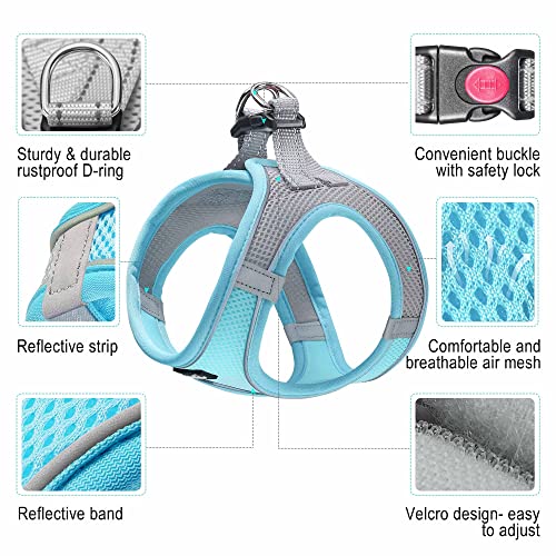 haapaw Dog Harness with Leash Set, No Pull Adjustable Reflective Step-in Puppy Harness with Thickened Padded Vest for Extra-Small/Small Medium Dogs - color: Grey / Blue, size: M