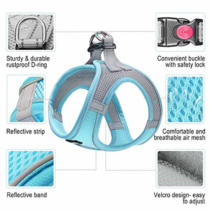 haapaw Dog Harness with Leash Set, No Pull Adjustable Reflective Step-in Puppy Harness with Thickened Padded Vest for Extra-Small/Small Medium Dogs - color: Grey / Blue, size: M