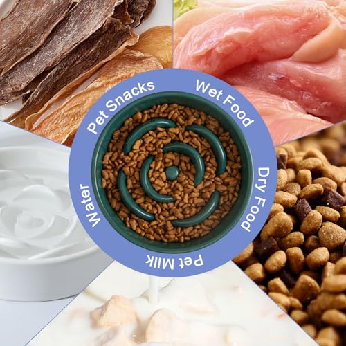 6'' Ceramic Slow Feeder Dog Bowls - Petal Shape Modern Dog Food Dish for Cats and Small Breed Dogs, Puzzle Maze Bowl to Slow Down Eating, Anti-Gulping, Dishwasher & Microwave Safe, Green - color: Green, size: 6 inch