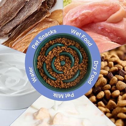 6'' Ceramic Slow Feeder Dog Bowls - Petal Shape Modern Dog Food Dish for Cats and Small Breed Dogs, Puzzle Maze Bowl to Slow Down Eating, Anti-Gulping, Dishwasher & Microwave Safe, Green - color: Green, size: 6 inch