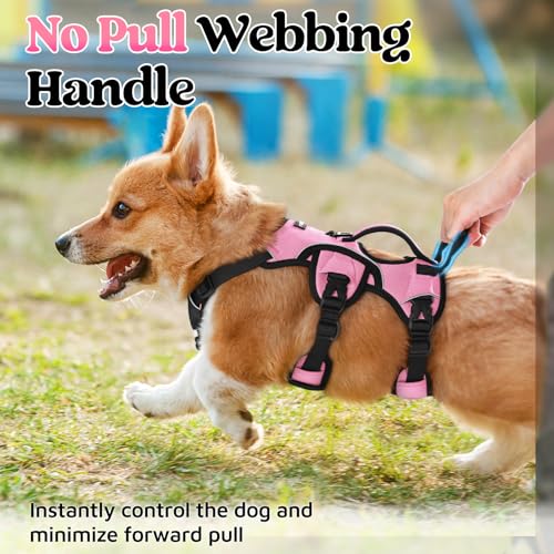 rabbitgoo Escape Proof Dog Harness Small Sized Dog, Soft Padded Full Body Pet Harness, Reflective Adjustable Vest with Lift Handle and Leash Clip for Walking Hiking Training, Light Pink, S - color: Light Pink, size: Small (Pack of 1)