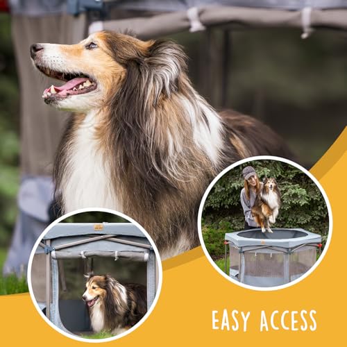CANINE CANYON Zora Portable Pet Playpen, Foldable Dog Playpens for Indoor and Outdoor Exercise, Pop Up Pet Fence with Carrying Case for Dogs/Puppies, Dove Gray, 49" x 49" x 28"
