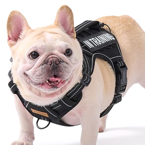 Dog Harness for Small Dog Breeds, Non Pulling Escape Proof Black Reflective Puppy Vest Harness with Handle, No Choke, Adjustable and Soft Padded, for Easy Walking and Training for Small Sized Dogs - color: Black, size: Small