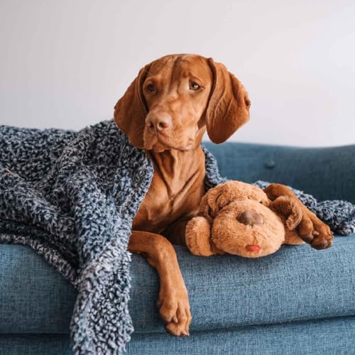 Snuggle Puppy Original Heartbeat Puppy Toy with Real-Feel Pulse & Heat Pack, Calming Sleep Aid for Puppy Anxiety, Crate Training, First Nights & New Puppy Transition - Biscuit Plus 6 Heat Packs - color: Biscuit