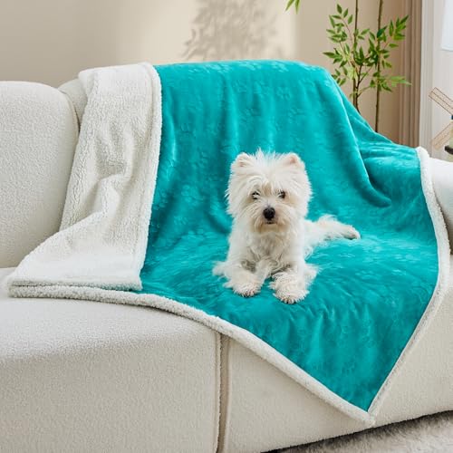 Qeils Pet Blankets for Cats - Waterproof Cat Blanket Washable - Sherpa Fleece Puppy Blanket, Soft Plush Reversible Throw Protector for Bed Couch Car Sofa, 25"X30", Teal - color: Teal, size: 25"x30"