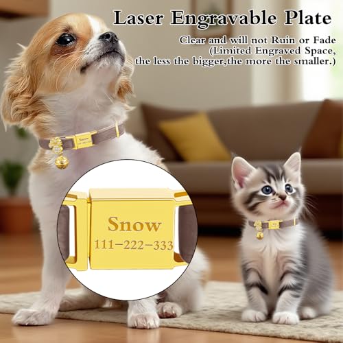 Personalized Breakaway Cat Collars - Magnetic Buckle, Bell - Safety Quick Release, Customized for Girls & Boys Cats- (Velvet-Chocolate) - color: Velvet-Chocolate