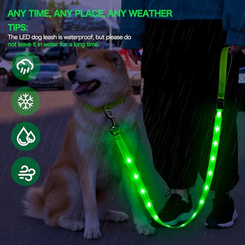 Weesiber Glowing Light Up LED Dog Leash - 4ft USB Rechargeable Flashing Nylon Leash for Small Medium Large Dogs, 3 Flash Modes (Green) - color: Green