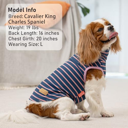 KYEESE 2Pack Dog Sweater Pullover Dog Sweaters for Small Dogs Girl Soft Dogs Clothes Stretchy Pet Sweatshirt Warm Pets Clothes Small Pets Sweaters Turtleneck Pet Coats - color: 1# Stripe+Purple, size: Large (12-18lbs)
