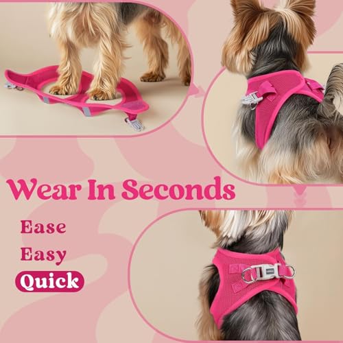 rabbitgoo Small Dog Harness, Step-in Soft Mesh Puppy Vest with Safety Buckle, Breathable Reflective Pet Harness for Small Sized Dogs, Rose Red S - color: Rose Red, size: S(chest:15.1"-16.5")