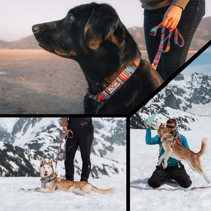Wolfgang Heavy Duty Martingale Dog Collar with Quick Release Nylon Buckle for Walking & Training, Quetzal Print, Large - color: Quetzal Print, size: Large (1 Inch x 18-22 Inch)