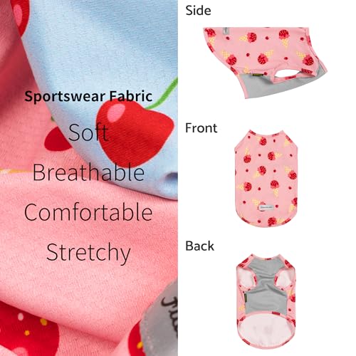 Fitwarm 2 Pack Ice Cream & Cherry UPF 50+ UV Sun Protection Dog Shirt, Lightweight Cooling Vest, Quick Dry Summer Clothes for Small Dogs Girl, Pet Outfit, Pink, Light Sky Blue, Small - color: Ice Cream & Cherry, size: Small