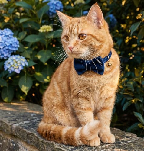 Personalized Velvet Cat Collar with Bell, Custom Engraved Name and Phone Number, Adjustable Luxury Kitten Collar, Non-Breakaway Secure ID Collar for Cats and Kittens - color: Dark Blue, size: S