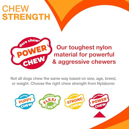 Nylabone Textured Bone Power Chew Toy for Dogs, Durable & Tough Dog Toys for Aggressive Chewers, Beef Jerky Flavor, X-Small Dogs - Up to 15 lbs, 1 Count - size: X-Small