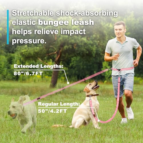 Laqibak Hands Free Dog Leash, Adjustable Waist Leash for Dog Walking, Dual Handle Bungee Dog 4.2-6.7 Feet Long with Reflective Stitches for Walking Hiking Running, Fits 26"- 43" Inch Waist, Pink - color: Pink