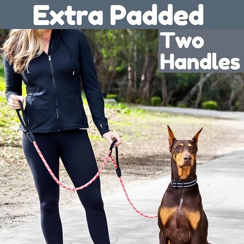 6 Foot Dog Leash, Two Extra Padded Handles, Locking Carabiner Clip, Reflective for Night Visibility, Weatherproof, Heavy Duty Rope Leash, Roam Gear (Pink) - color: Pink