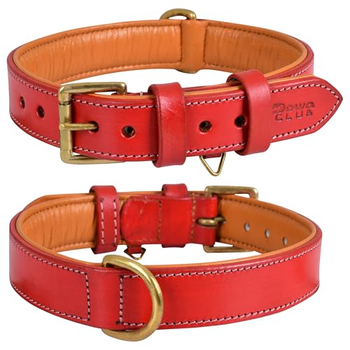 Genuine Leather Dog Collar | Full Grain, Heavy Duty, Comfortable, Padded, Strong | Best for Pups, Small, Medium, Large & XL Breeds (Small (Fit Neck Size 11.5"-14.5"), Red) - color: Red, size: S (Fit Neck Size 11.5"-14.5")