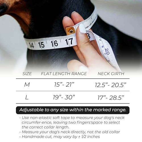 AssuredLock Leather Dog Collar, 1.5” Wide, Smooth Quick-Release Buckle with Adjustable Design, Heavy-Duty Handcrafted Collars for Large Dogs, Brown Gold-L - color: Brown-Gold, size: 17-28.5 In