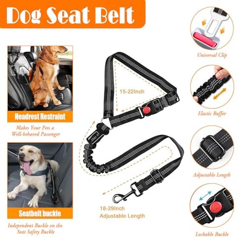 LOBEVE No Pull Dog Harness, Collar & Leash Set | Includes Dog Seat Belt, Collapsible Bowls & Poop Bag Dispenser. Ideal for Training, Walking, Hiking. Fits Small to Large Dogs(Black-S) - color: Black, size: Small