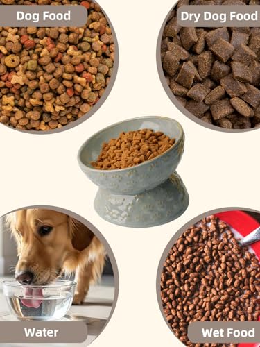 GDCZ Elevated Ceramic Puppy Bowl, 5 Oz Raised and Tilted Water Bowl, Pet Bowl for Small Dog, Fat Faced Cat, Kitten (Grey) - color: Grey