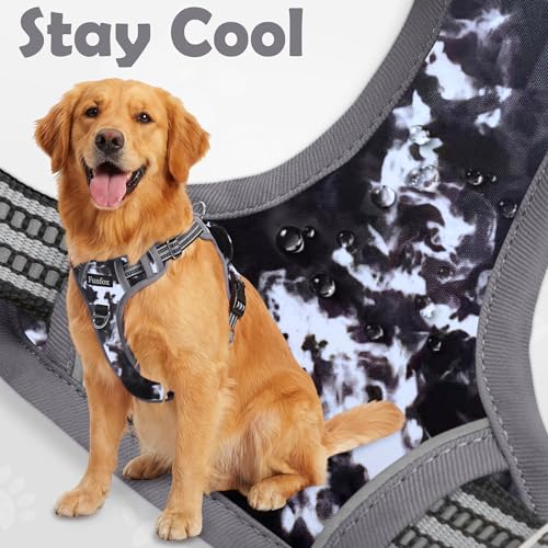 Funfox Dog Harness No Pull, Adjustable Pet Vest Harness, Super Soft Material with Vertical Handle Easy Control, Reflective Night Walking, 2 Leash Clips for Small Sized Dogs, Misty Gray, S - color: Misty Gray, size: Small