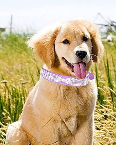Dog Collar for Small Dogs, Adjustable Leather Suede Bling Dog Collars，Pink Dog Collar Cat Collar, Rhinestone Dog Collar (XS, Rose red4) - color: rose red4, size: XS