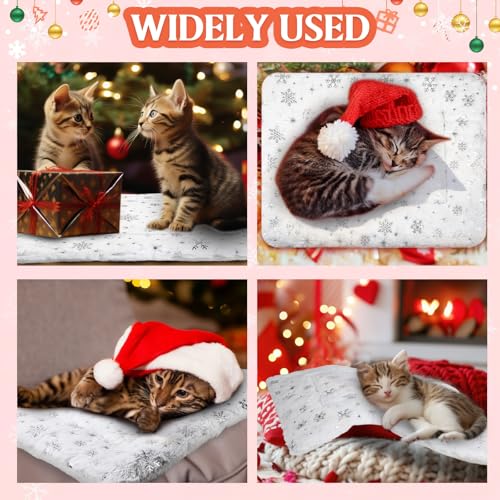 2 Pack Winter Self Warming Cat Mat Snowflake White Self Heating Pad Bed 22" x 18" Reversible Reflects Body Heat Machine Washable Thermal Pet Blanket for Winter Indoor Pet Kitten Dog Crate - color: White