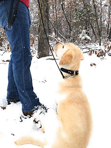 Regal Dog Products Waterproof Leash – 5 ft. Black Dog Leash with Easy to Use Collar Hook, Lightweight, and Proof Training Pet Lead with Vinyl-Coated Webbing for Small, Medium, Large, or XL Dogs - color: Black
