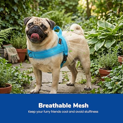 Didog No Pull Dog Harness with Soft Mesh Padded,Reflective & Quick Fit Light Weight Dog Strap Vest Harness,Easy for Walking Training (S:Chest 18-22", Mesh-Blue) - color: Blue, size: S: Chest 18-22", Fit 19-29 lbs