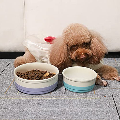 Sweejar Ceramic Dog Bowls, Dog Food Dish for Small Dogs and Cat, Heavy Duty Porcelain Pet Bowl for Canned Food and Water 17 Fl Oz （Turquoise） - color: Turquoise, style: Two-tone,5.5"x 2.2"(16 Fl Oz)